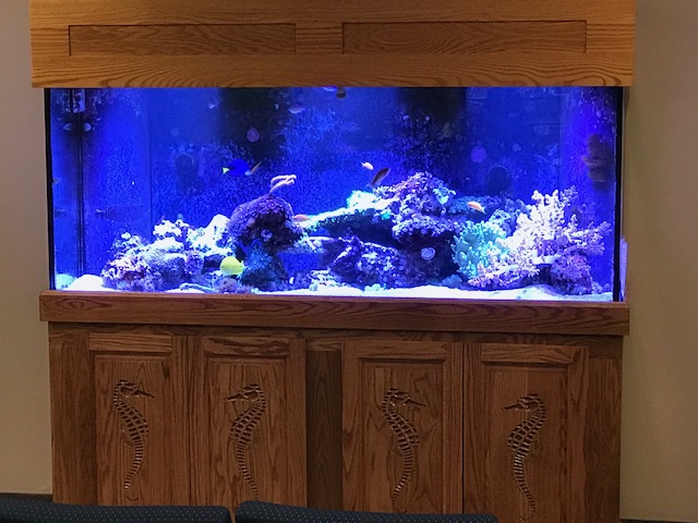 aquarium maintenance service 220 gallon