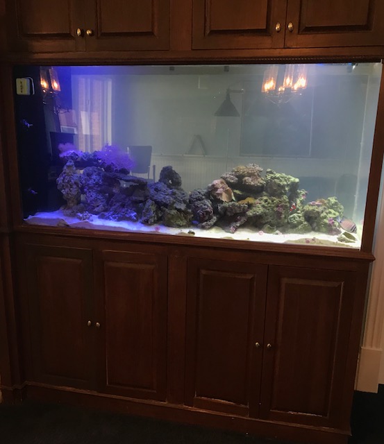 aquarium maintenance service 220 gallon acrylic