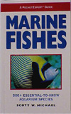 Marine Fish by Scott Michael