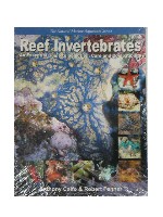 Reef Invertebrates, Calfo, Fenner