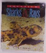 Aquarium Sharks, Rays, Michael